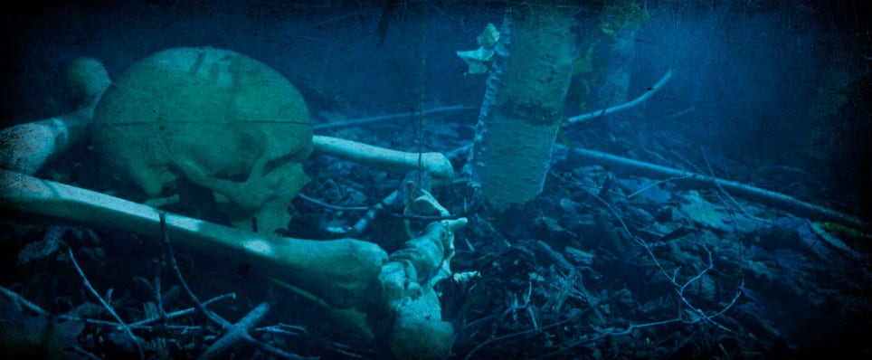 Le Cimetière Des Sœurs Aubépine [Cemetery Hawthorn Sisters]
