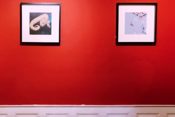 The Secret of the Museum