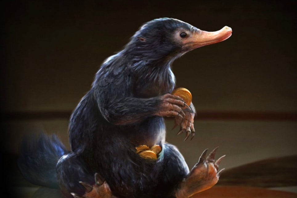 Fantásticos Animales en Hogwarts[Fantastic Animals at Hogwarts]