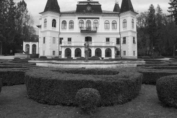 The Estate