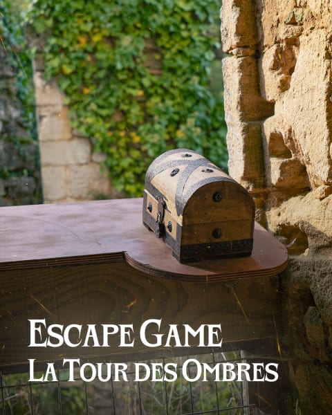 La Tour des Ombres au Château de Commarque [The tower of Shadows at the Château de Commarque]