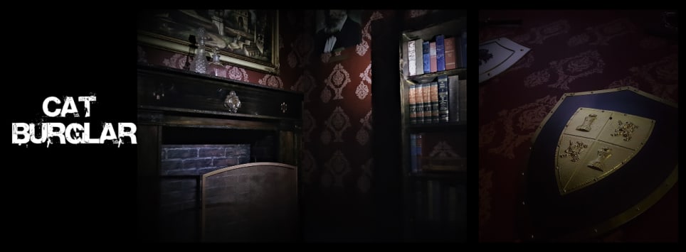 Cat Burglar