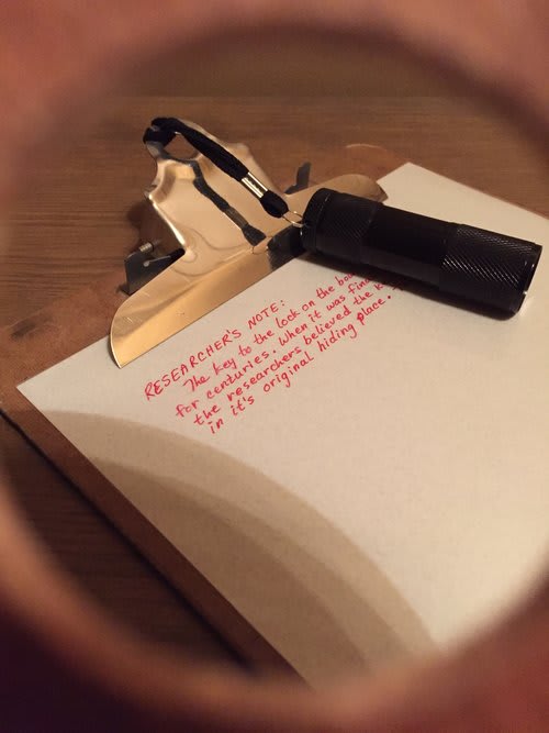 Da Vinci's Last Code