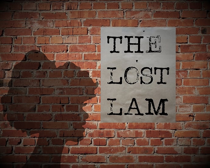 The Lost Lam