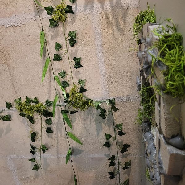 Return to Tiger Island