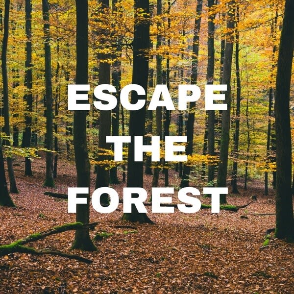 Escape the Forest [Outdoor]
