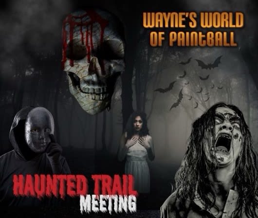 A Nightmare On Pine Street 