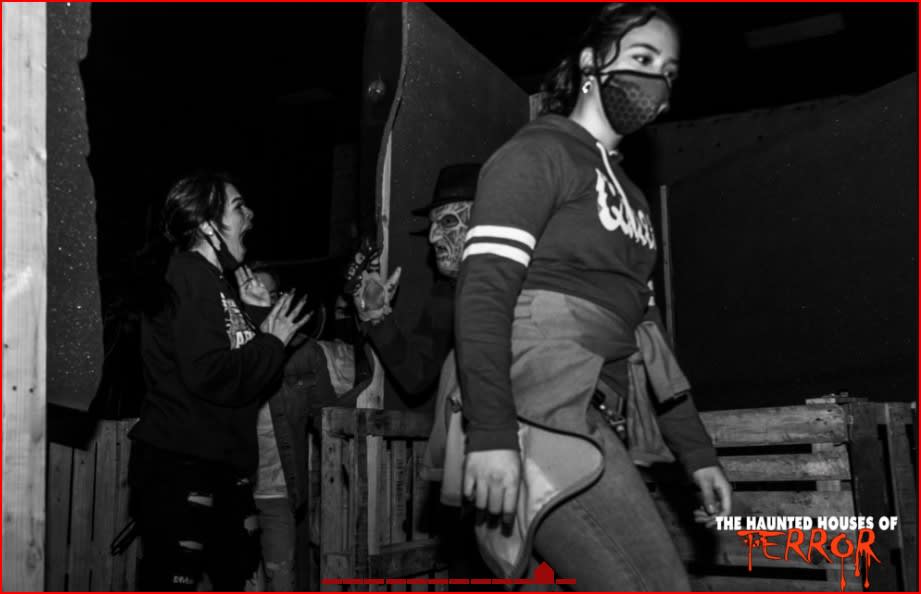 The Haunted Houses of Terror