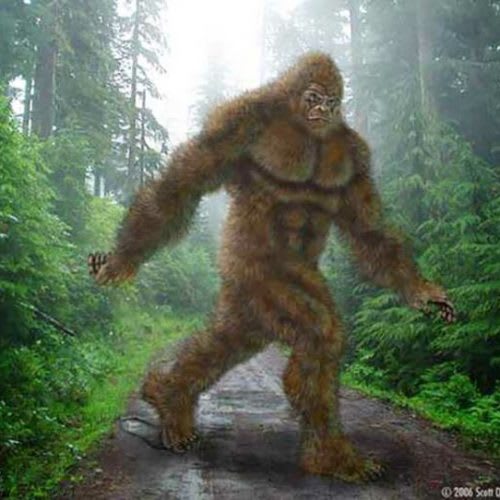 Tracker