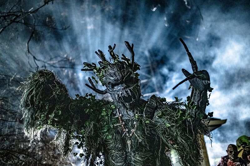 Spirits of the Swamp