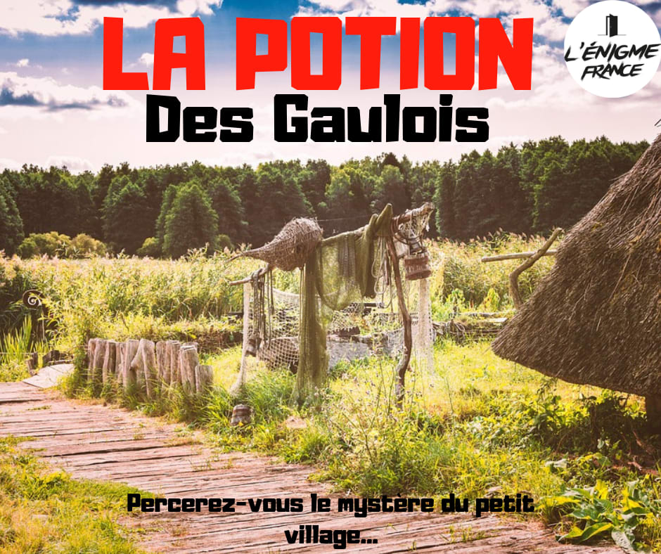 La Potion Des Gaulois [The Potion Of The Gauls]
