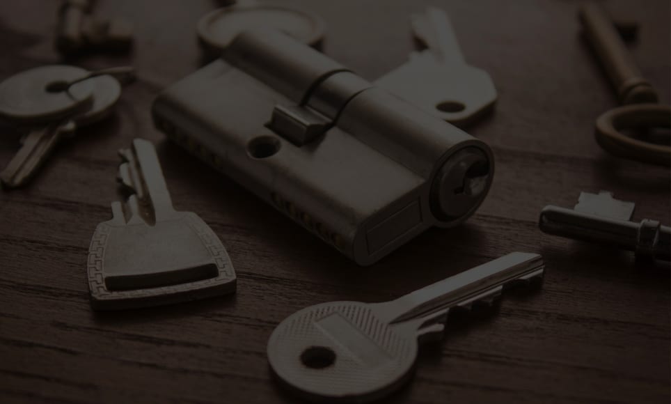 Jos Metsään Haluat Mennä Nyt...