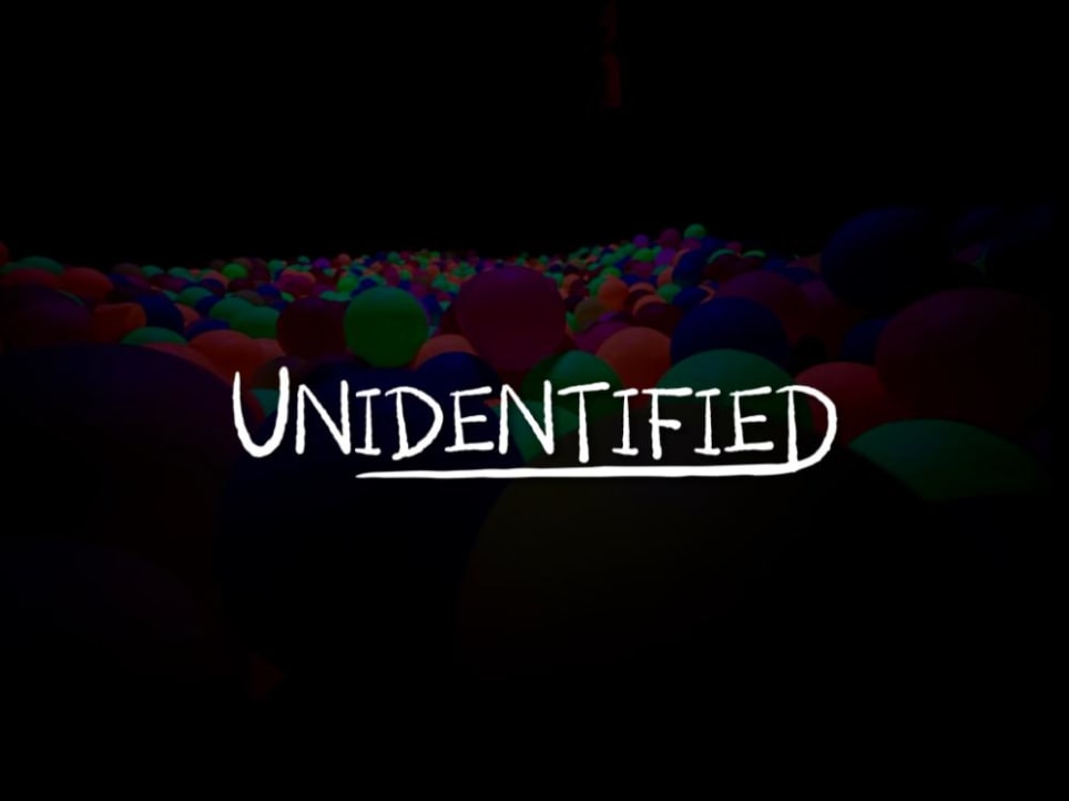 Unidentified: The Case of Mystery Gates Theme Park