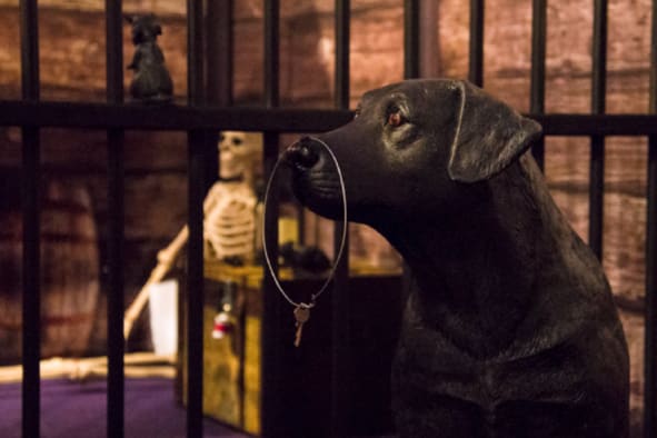 Escape Blackbeard's Brig