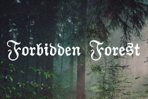 Forbidden Forest