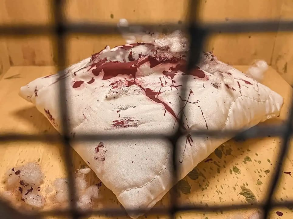 Blutiges Erwachen [Bloody Awakening]