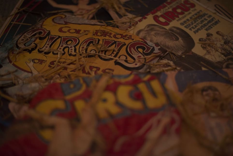 El Circo de los Extraños