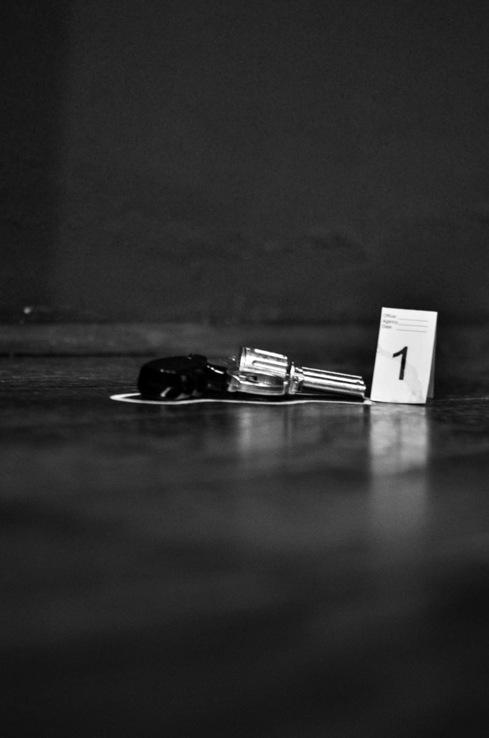 Istražitelji Iz Beograda [Investigators From Belgrade]