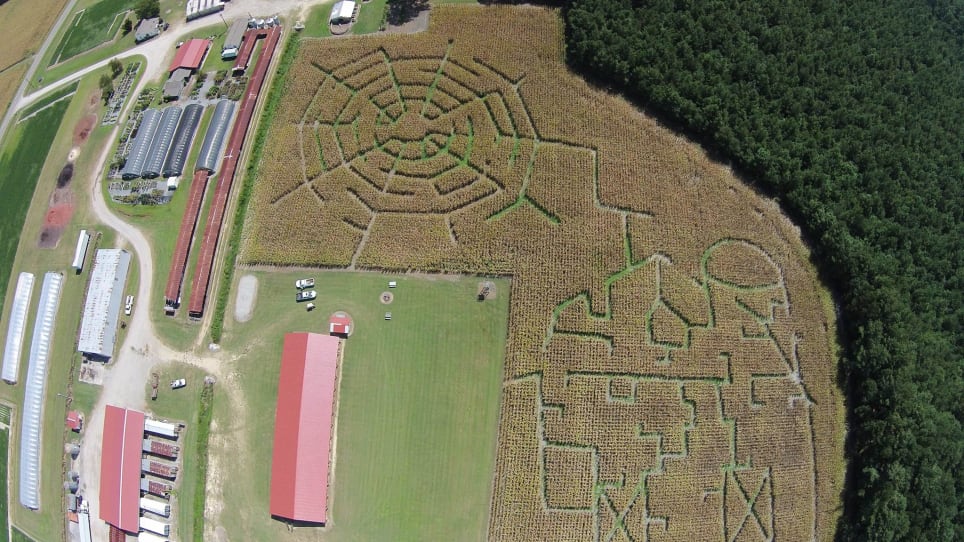 Askew's Haunted Woods