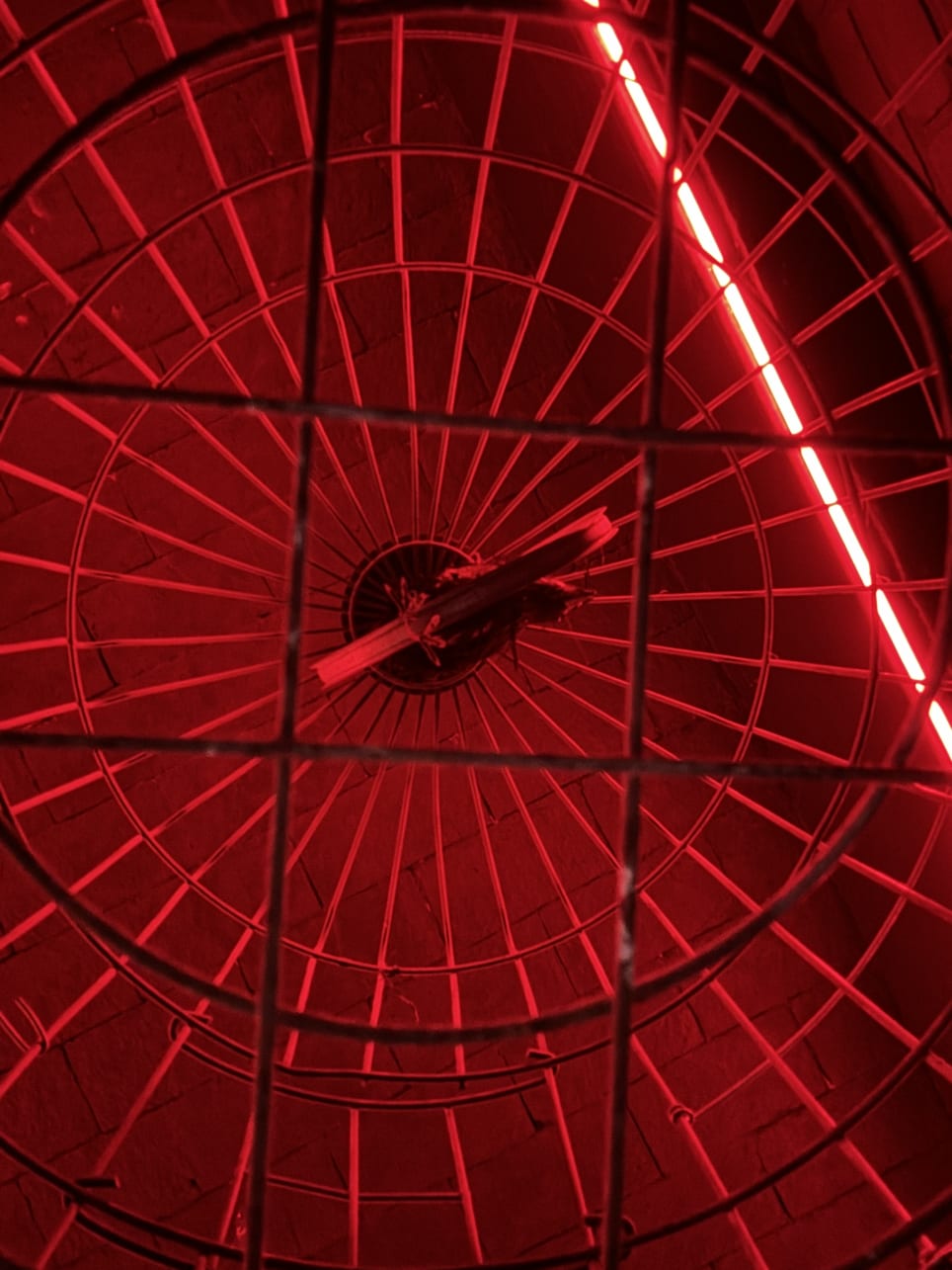 Niebla de Desilusión [Mist of Disilusionment]