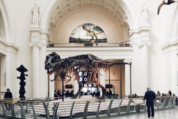 A Night in the Museum