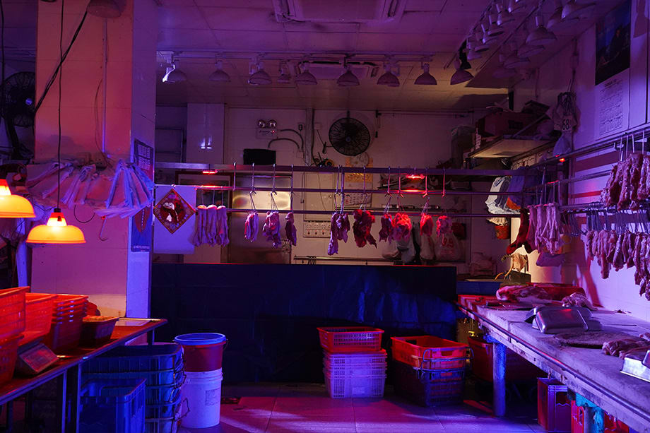 Forbidden Zone 724 [Season 2024]