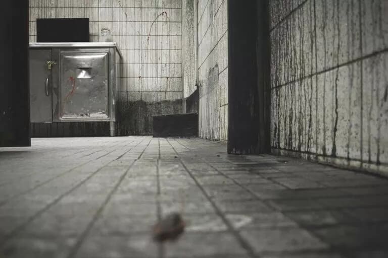The Saw Massacre