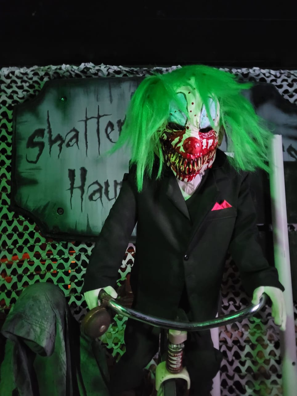 The Curse of Shamrock!