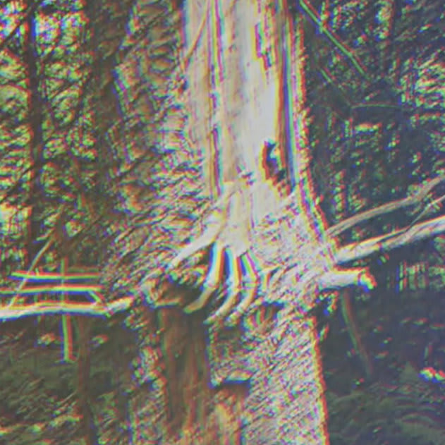 The Catskills Killer [Outdoor]