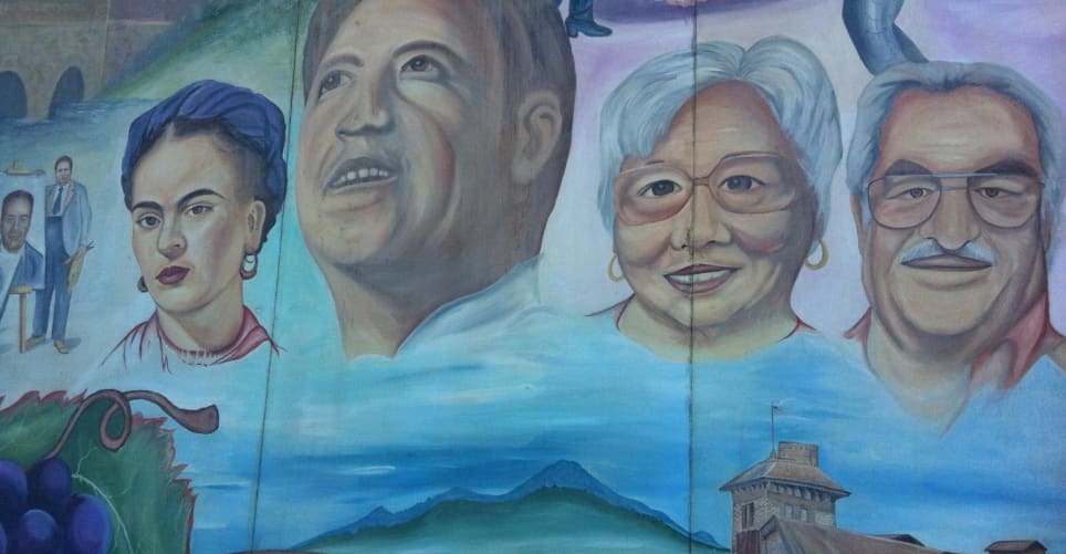 Marin, North Bay, Wine Country [Team Building]