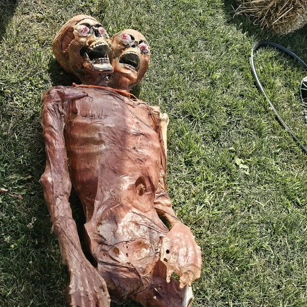 Fright Forest At The Fairgrounds: Unliving Legends