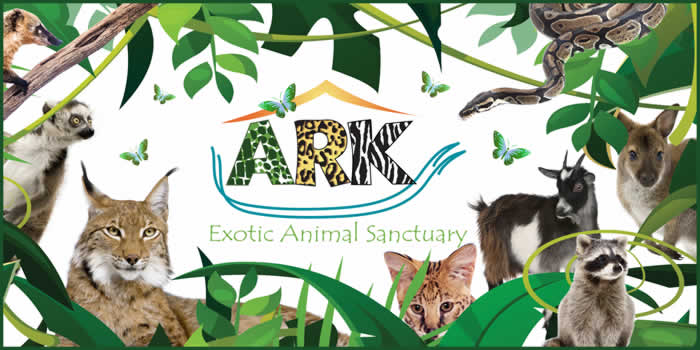 Defeat The Poachers