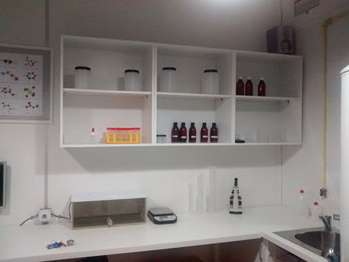 El Caso W.E.N [The W.E.N. Case]