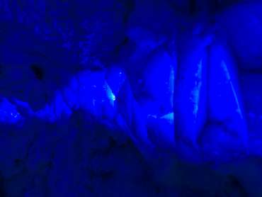 Polaris: Une Aventure Glaciale