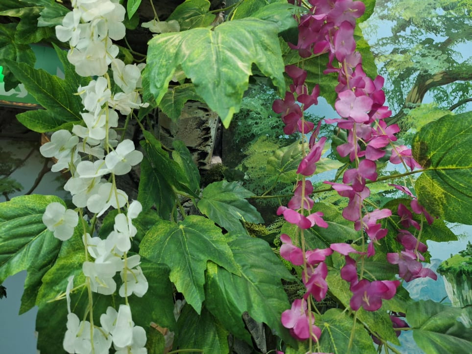 Magiczne Krainy [Magical Lands]