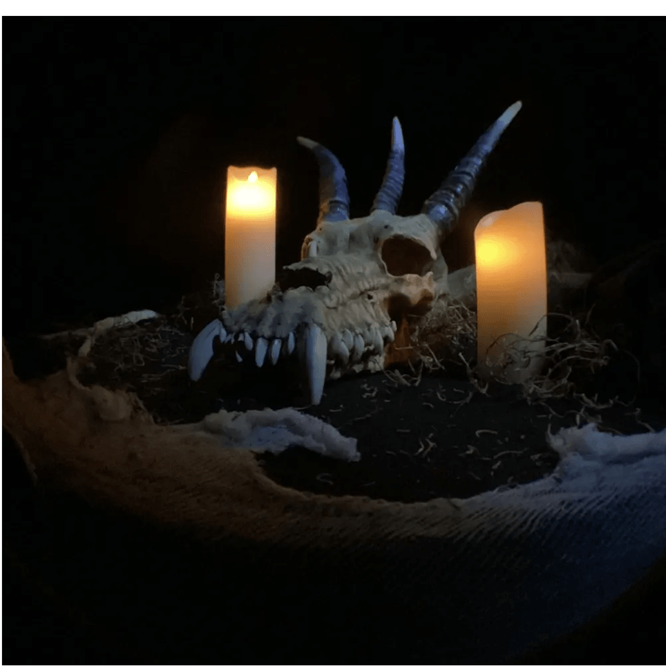 Skully's Terror Haunted House