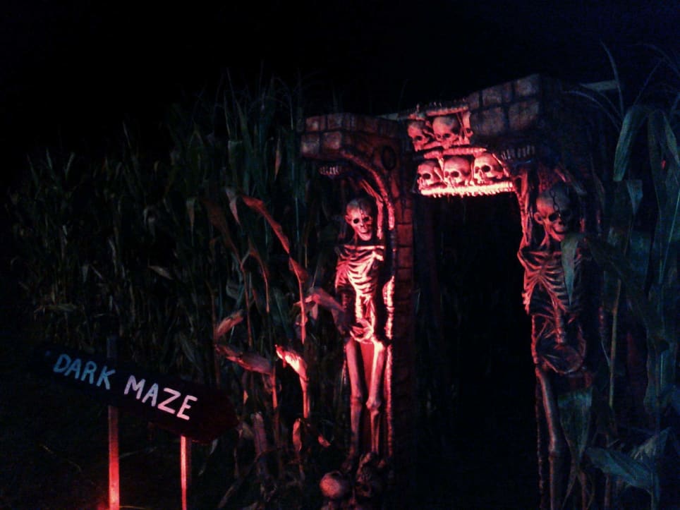 Dark Corn Maze