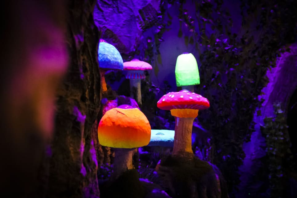 El Secreto De Amerinda [Amerinda's Secret]