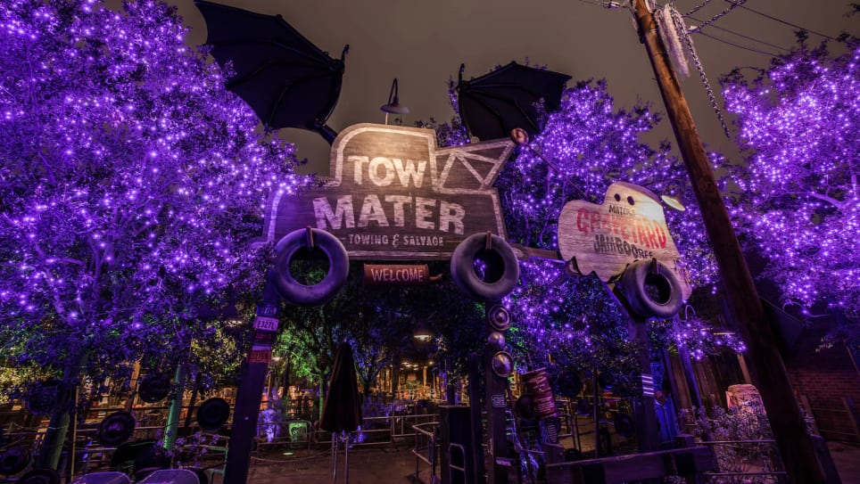 Mater's Graveyard JamBOOree