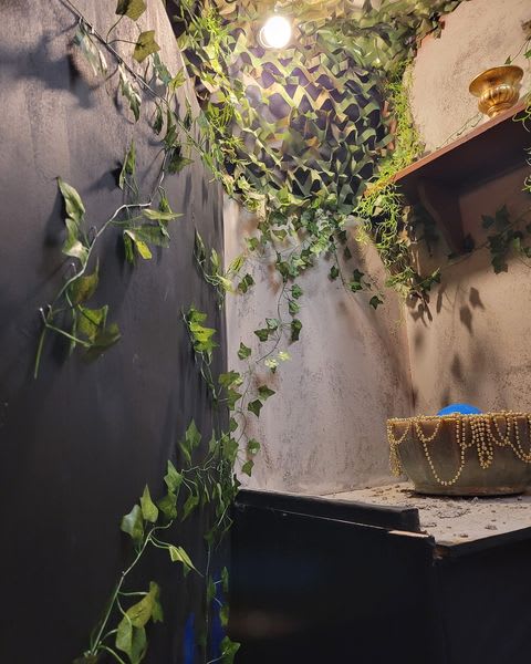 Return to Tiger Island