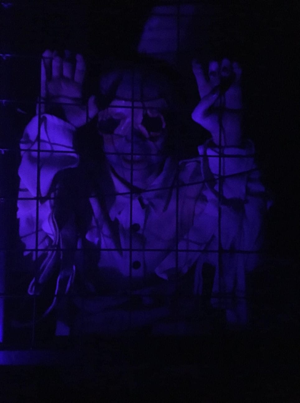 C & D Bunner Family Spooky Yard Haunt