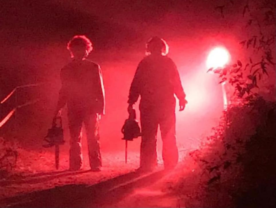 Woodlawn Haunted Woods