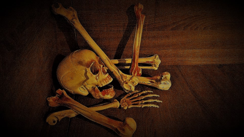 1000 Cadáveres [1000 Corpses]