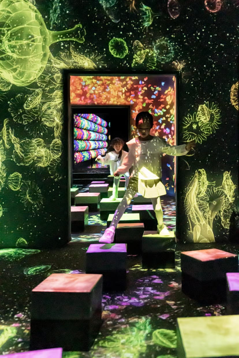 Massless [Immersive Experience]