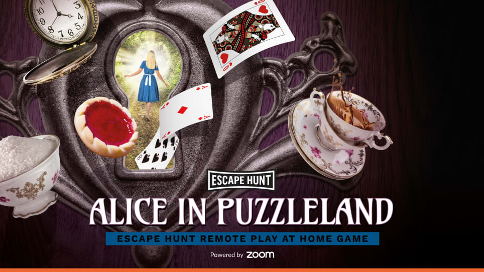 Alice In Puzzleland