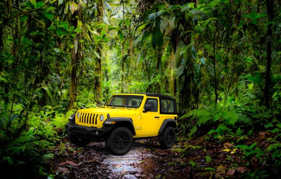 La Forêt Amazonienne [The Amazon Rainforest]