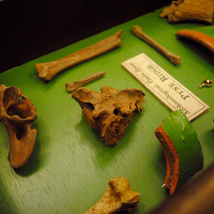 Professor Dunstan And The Search For The Ancient Statuette