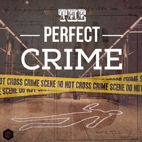 The Perfect Crime