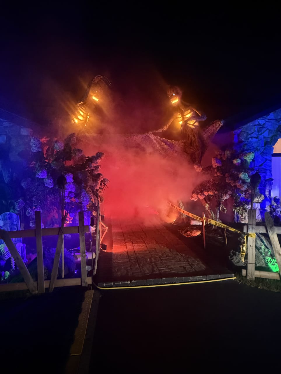 Backwoods of Ridgewood