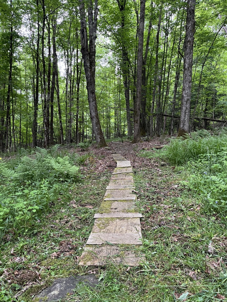 Hellmouth Hollow [Outdoor]